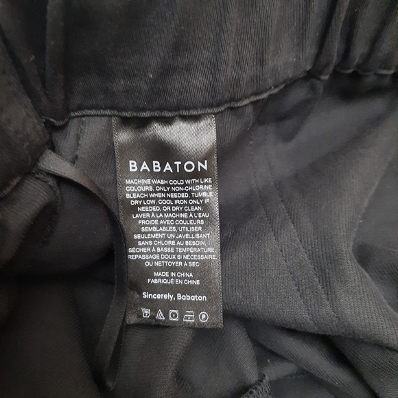 Aritzia Babaton Titan utility pants - Picture 12 of 14